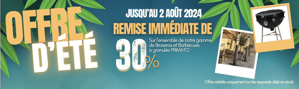OFFRE D'ÉTÉ - 30% DE REMISE IMMÉDIATE